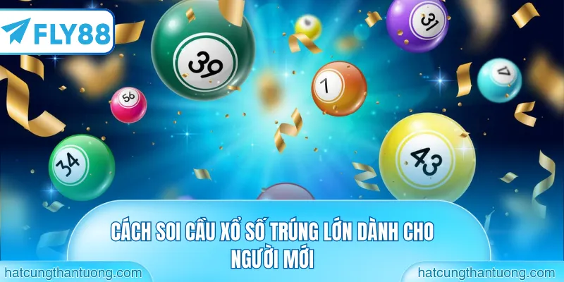 Cách soi cầu xổ số trúng lớn dành cho người mới