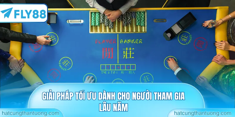 Giải pháp tối ưu dành cho người tham gia lâu năm
